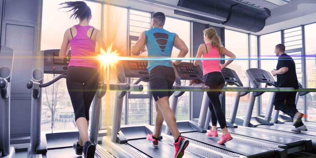 Vestibulum sapin prin quam